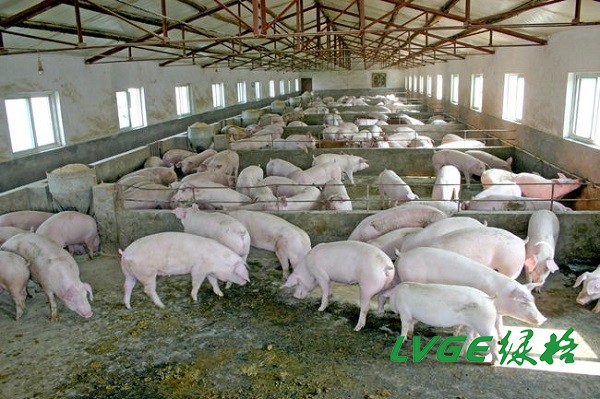 1756523724847466.jpg b_5304872202103171448188207.jpg